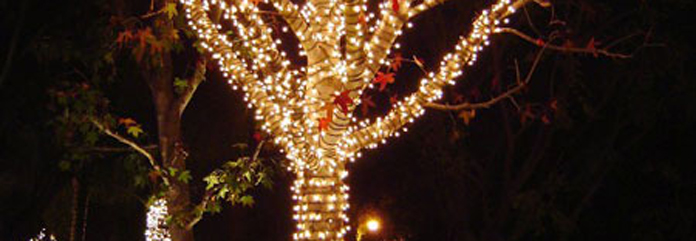 SantasHelpersLighting_13.jpg